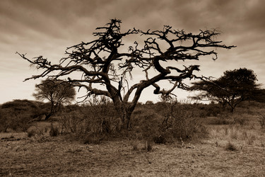 Similar image 8035155