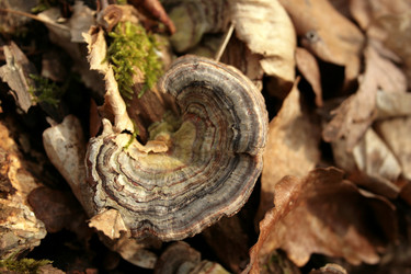 Similar image 8035156