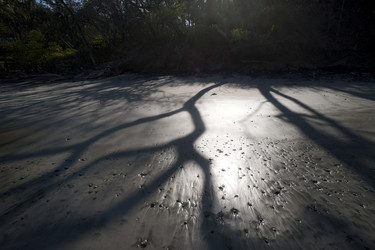 Similar image 8035158