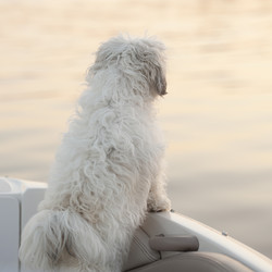 Similar image 8035163