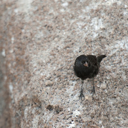 Similar image 8035168