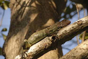 Similar image 8035169