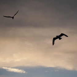 Similar image 8035179