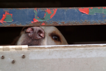 Similar image 8035185