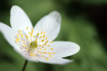 Similar image 8035186