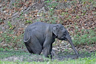 Similar image 8035189