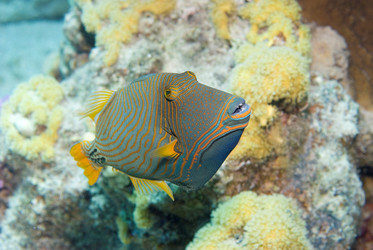 Similar image 8035190