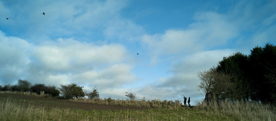 Similar image 8035191