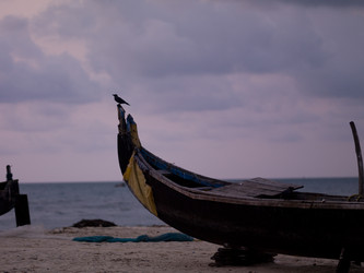 Similar image 8035196