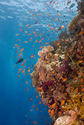 Similar image 8035205