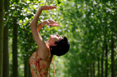 Similar image 8035215