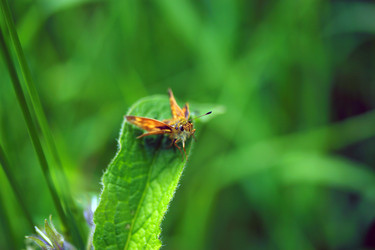 Similar image 8035220