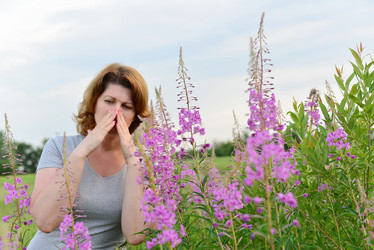 Similar image 8035229