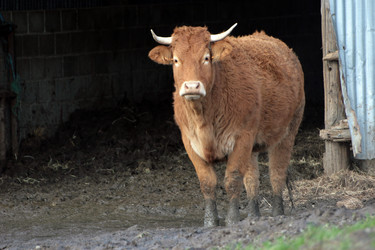 Similar image 8035233