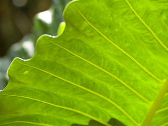 Similar image 8035235