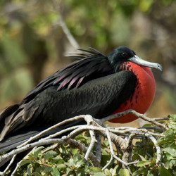 Similar image 8035240