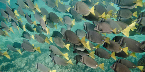 Similar image 8035246