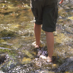 Similar image 8035250