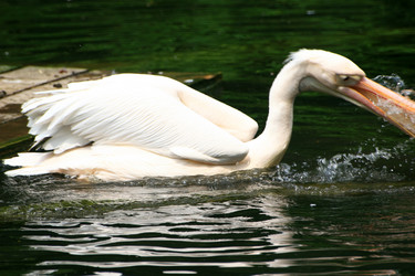 Similar image 8035252