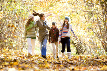 Similar image 8035254