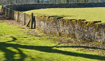 Similar image 8035261