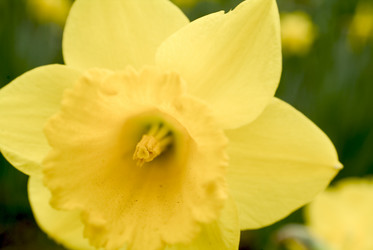 Similar image 8035263