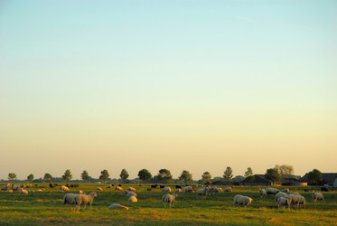 Similar image 8035268