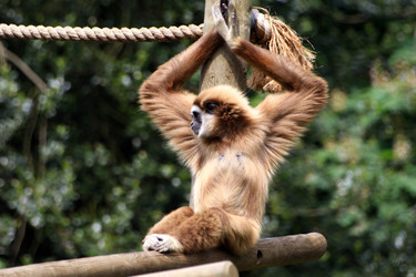 Similar image 8035272