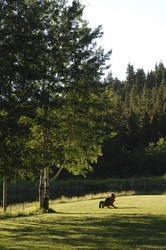 Similar image 8035273