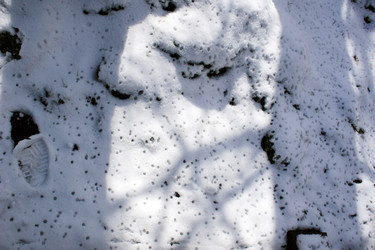 Similar image 8035278