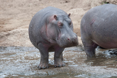 Similar image 8035281