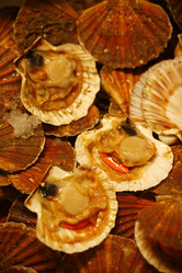 Similar image 8035287