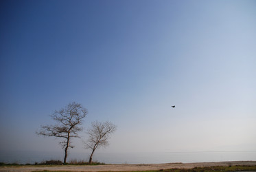 Similar image 8035326