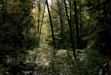 Similar image 8035327