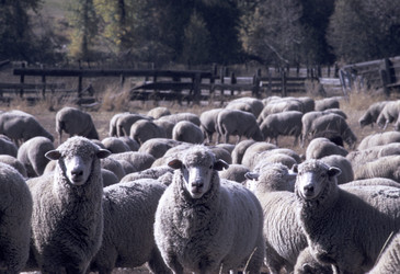 Similar image 8035328