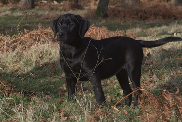 Similar image 8035332