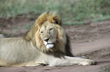 Similar image 8035337