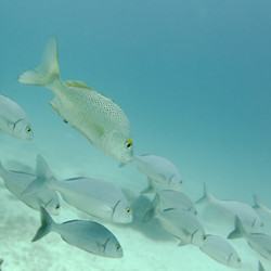 Similar image 8035350