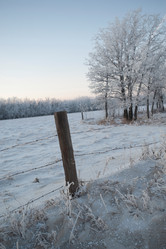 Similar image 8035358