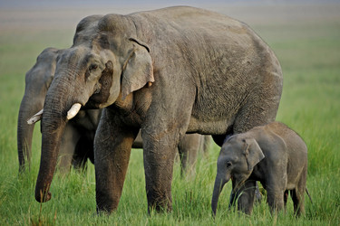 Similar image 8035364