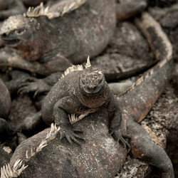 Similar image 8035367