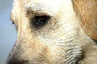 Similar image 8035374