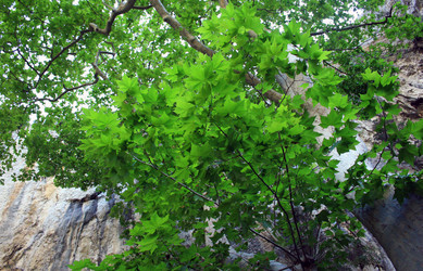 Similar image 8035376