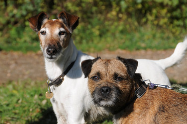 Similar image 8035380