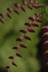 Similar image 8035386