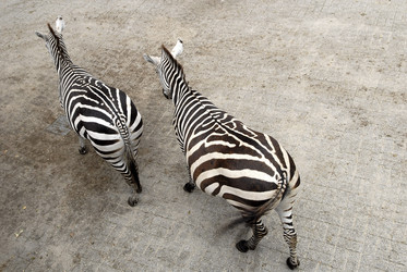 Similar image 8035388