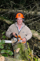 Similar image 8035392