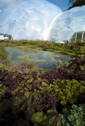 Similar image 8035393