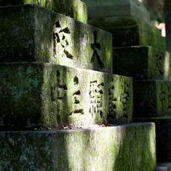 Similar image 8035402