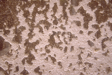 Similar image 8035403